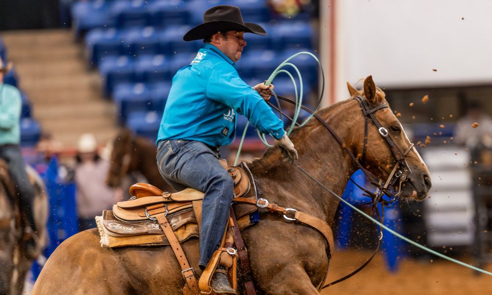 Grup Olahraga Global CVC mengonfirmasi akuisisi Equine Network senilai ‘US$300 juta’